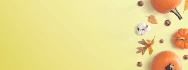 Yapraklı ve pamuklu balkabakları