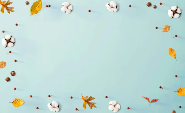 Podzimní listy a květy bavlny — Stock fotografie