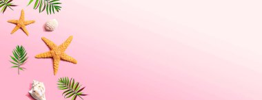 Deniz yıldızları ve deniz kabukları ile yaz konsepti
