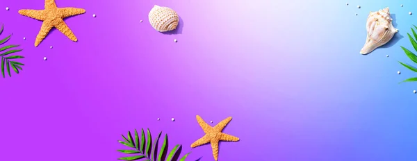 Conceito de verão com estrelas do mar e conchas — Fotografia de Stock