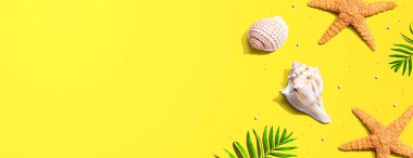 Deniz yıldızları ve deniz kabukları ile yaz konsepti