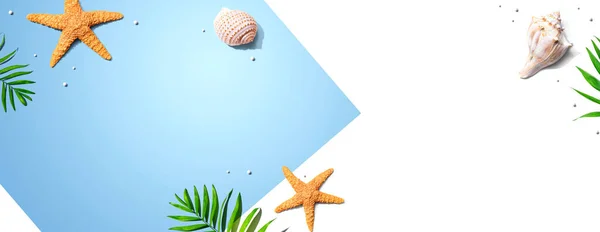 Concepto de verano con estrellas de mar y conchas marinas —  Fotos de Stock