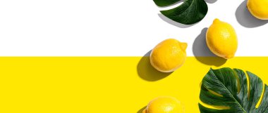 Taze sarı limon manzarası