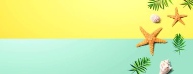 Deniz yıldızları ve deniz kabukları ile yaz konsepti
