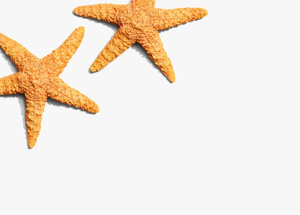 Летняя концепция с видом на морскую звезду — стоковое фото