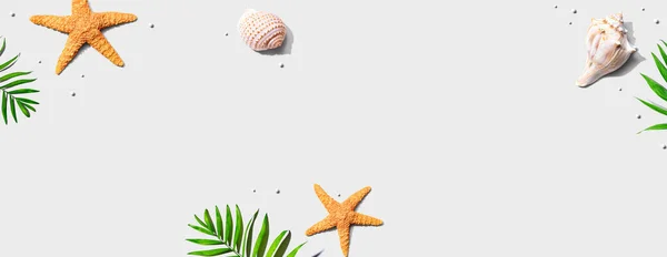 Concepto de verano con estrellas de mar y conchas marinas —  Fotos de Stock