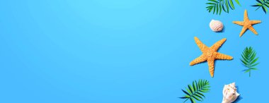 Deniz yıldızları ve deniz kabukları ile yaz konsepti