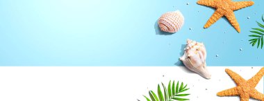 Deniz yıldızları ve deniz kabukları ile yaz konsepti