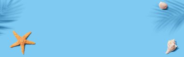 Deniz yıldızları ve deniz kabukları ile yaz konsepti