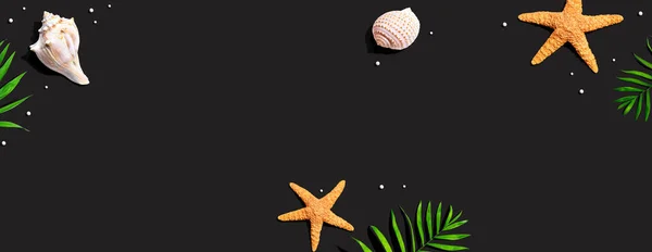 Conceito de verão com estrelas do mar e conchas — Fotografia de Stock