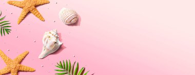 Deniz yıldızları ve deniz kabukları ile yaz konsepti