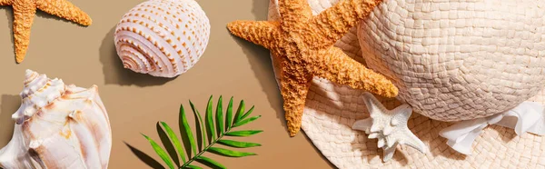 Летняя концепция с соломенной шляпой и морской звездой — стоковое фото