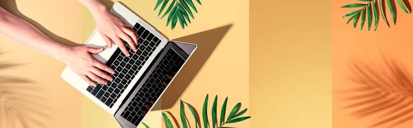 Людина, що використовує ноутбук з тропічним листям — стокове фото