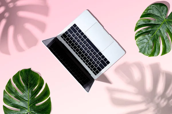 Laptop computer with tropical leaves