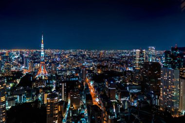 Tokyo şehir manzarası hava manzarası