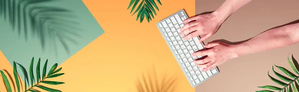Orang yang menggunakan keyboard komputer dengan daun tropis — Stok Foto