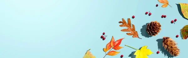 Bunte Herbstblätter mit Tannenzapfen — Stockfoto