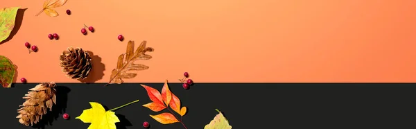 Цветные осенние листья с шишками — стоковое фото