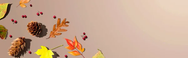 Hojas coloridas de otoño con piñas —  Fotos de Stock