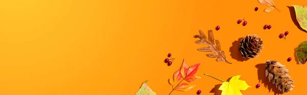 五彩缤纷的秋叶和松果 — 图库照片