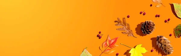 Bunte Herbstblätter mit Tannenzapfen — Stockfoto