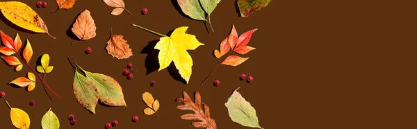 Kolorowe jesienne liście nad głową widok — Zdjęcie stockowe