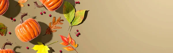 Calabazas de otoño con hojas coloridas vista aérea —  Fotos de Stock