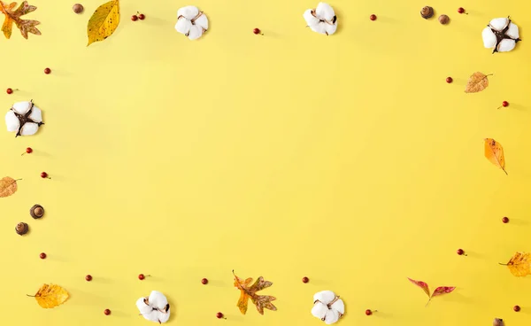 Folhas de outono e flores de algodão — Fotografia de Stock
