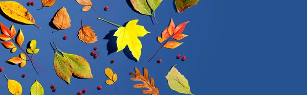 Цветные осенние листья сверху — стоковое фото