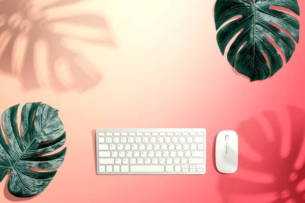 Computer keyboard with tropical leaves and shadow