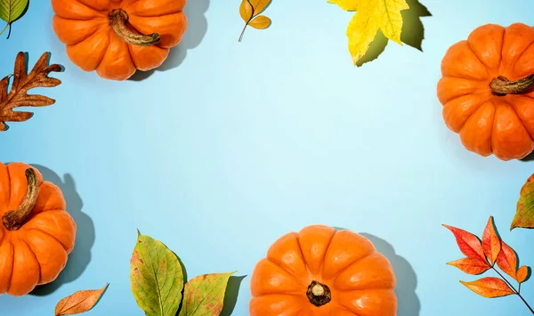 Calabazas de otoño con hojas coloridas vista aérea —  Fotos de Stock