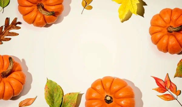 Podzimní dýně s barevnými listy nad hlavou — Stock fotografie