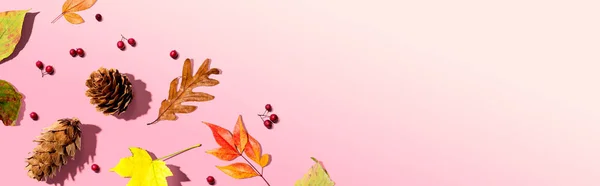 Hojas coloridas de otoño con piñas — Foto de Stock