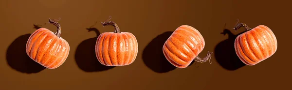Outono abóboras laranja vista aérea — Fotografia de Stock