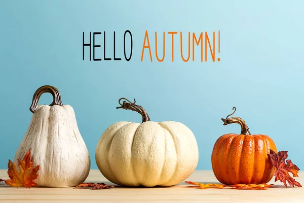 Olá mensagem de outono com abóboras — Fotografia de Stock