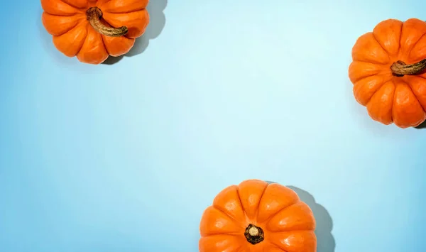Herfst oranje pompoenen bovenaanzicht — Stockfoto