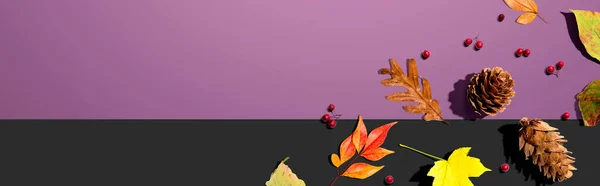 Folhas de outono coloridas com pinhas — Fotografia de Stock