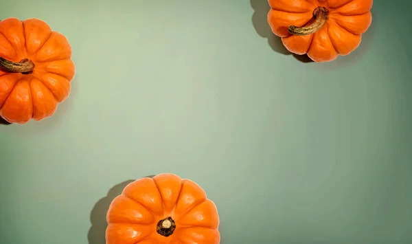 Sonbahar portakal kabakları genel görünüm — Stok fotoğraf