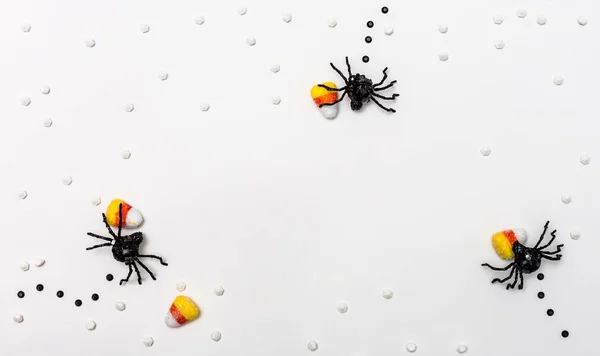 Halloween pavouci nad hlavou pohled — Stock fotografie