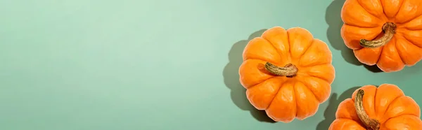 Höst orange pumpor overhead vy — Stockfoto