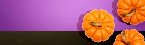 Autunno zucche arancioni vista aerea — Foto Stock