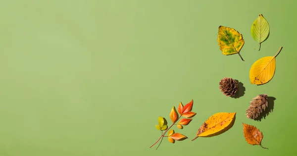 Jesienne liście z góry — Zdjęcie stockowe
