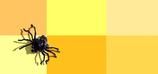 Хеллоуїн чорний павук — стокове фото