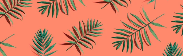 Tropical palm leaves from above — Stock Photo, Image