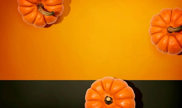 Herfst oranje pompoenen bovenaanzicht — Stockfoto