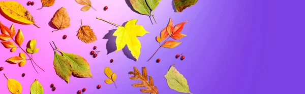 Bunte Herbstblätter aus der Vogelperspektive — Stockfoto