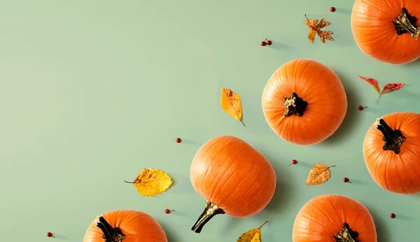 Renkli yapraklı sonbahar balkabakları — Stok fotoğraf