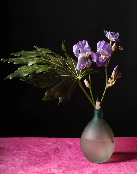 iris flowers minimal bouquet with aralia leaf