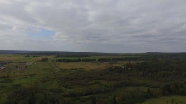 Russia Ural Federal District Summer Forest — Stock Video