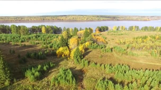 秋の風景です 晴れた日の川の銀行で秋の木々 — ストック動画